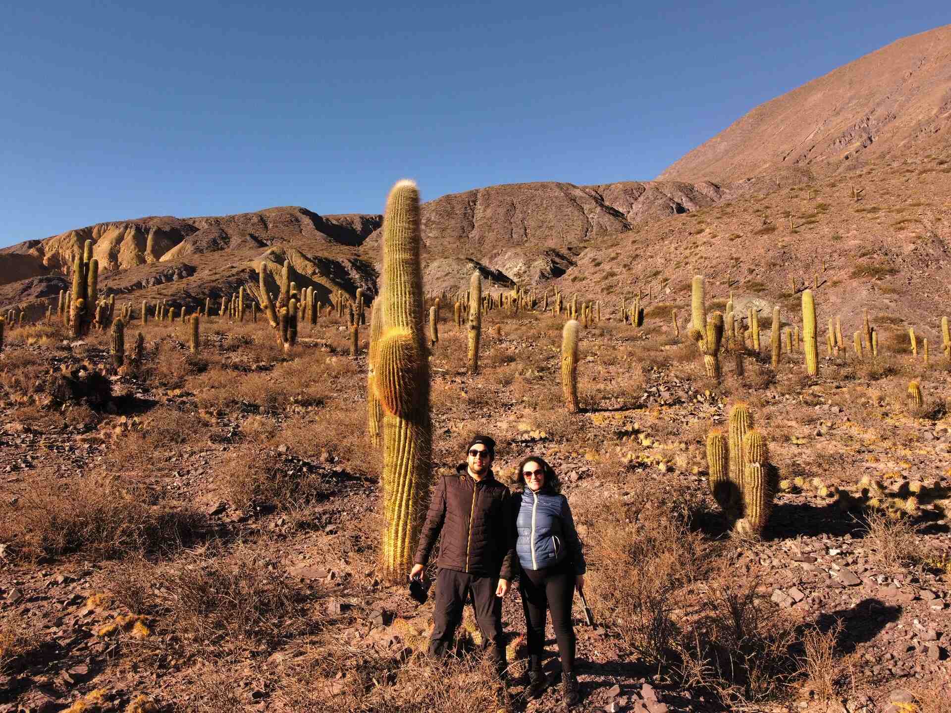 Cover Image for Explorando o Deserto e Vinhedos: Uma Jornada pela Ruta 40 na Argentina